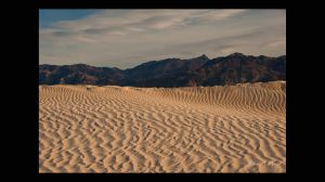 Mesquite Dunes